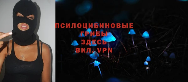 Альфа ПВП Рославль
