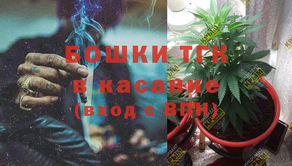сатива Алексин