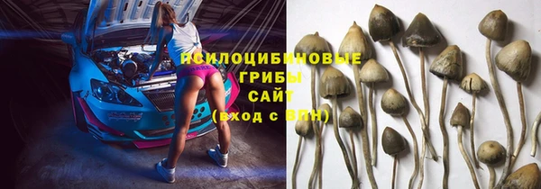 сатива Алзамай