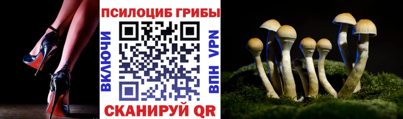 наркотики  Кола  Галлюциногенные грибы Cubensis 